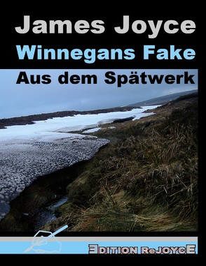 Winnegans Fake von Joyce,  James, Rathjen,  Friedhelm