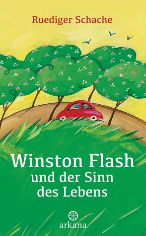 Winston Flash und der Sinn des Lebens von Schache,  Ruediger