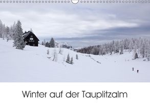 Winter auf der Tauplitzalm (Wandkalender 2018 DIN A3 quer) von Schaefgen,  Matthias