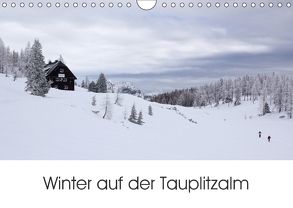 Winter auf der Tauplitzalm (Wandkalender 2018 DIN A4 quer) von Schaefgen,  Matthias