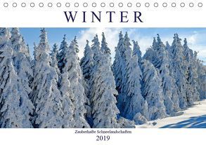 Winter. Zauberhafte Schneelandschaften (Tischkalender 2019 DIN A5 quer) von Hurley,  Rose