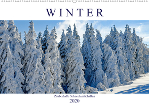 Winter. Zauberhafte Schneelandschaften (Wandkalender 2020 DIN A2 quer) von Hurley,  Rose