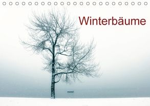 Winterbäume (Tischkalender 2018 DIN A5 quer) von Kruse,  Joana