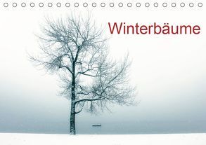 Winterbäume (Tischkalender 2019 DIN A5 quer) von Kruse,  Joana
