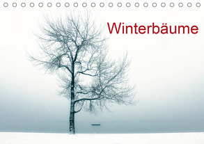 Winterbäume (Tischkalender 2020 DIN A5 quer) von Kruse,  Joana
