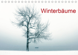 Winterbäume (Tischkalender 2021 DIN A5 quer) von Kruse,  Joana