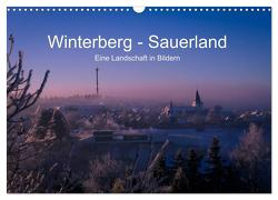 Winterberg – Sauerland – Eine Landschaft in Bildern (Wandkalender 2024 DIN A3 quer), CALVENDO Monatskalender von Pi,  Dora