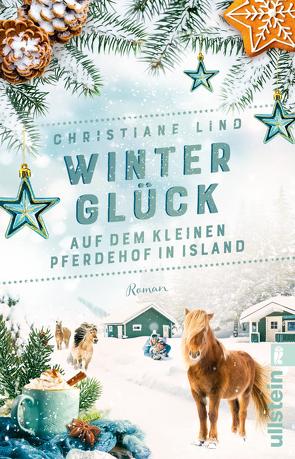 Winterglück auf dem kleinen Pferdehof in Island von Lind,  Christiane