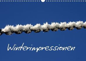 Winterimpressionen (Posterbuch DIN A4 quer) von SchnelleWelten,  k.A.