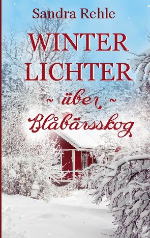 Winterlichter über Blåbärsskog von Rehle,  Sandra