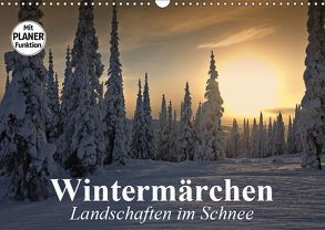 Wintermärchen. Landschaften im Schnee (Wandkalender 2019 DIN A3 quer) von Stanzer,  Elisabeth