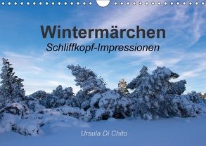 Wintermärchen . Schliffkopf-Impressionen (Wandkalender 2018 DIN A4 quer) von Di Chito,  Ursula