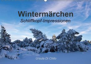 Wintermärchen . Schliffkopf-Impressionen (Wandkalender 2019 DIN A2 quer) von Di Chito,  Ursula