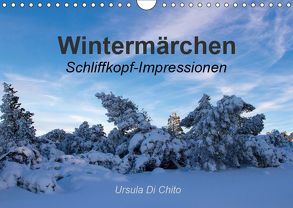 Wintermärchen . Schliffkopf-Impressionen (Wandkalender 2019 DIN A4 quer) von Di Chito,  Ursula