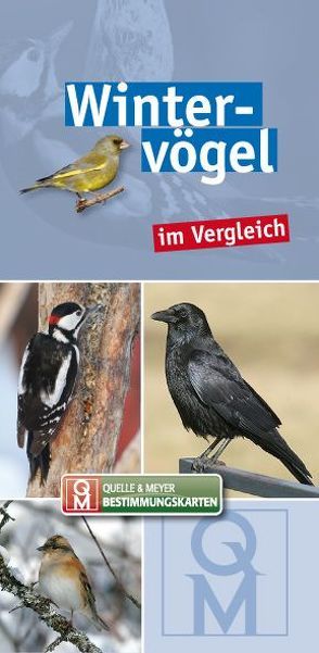 Wintervögel im Vergleich von Quelle & Meyer Verlag