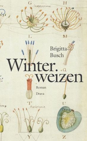 Winterweizen von Busch,  Brigitta