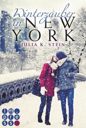 Winterzauber in New York von Stein,  Julia K.