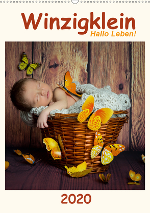 Winzigklein – Hallo Leben! (Wandkalender 2020 DIN A2 hoch) von :: Fotodesign,  HETIZIA