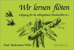 Wir lernen Flöten von Biedermann-Weber,  Trudi