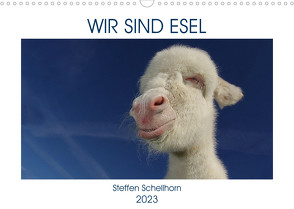 WIR SIND ESEL (Wandkalender 2023 DIN A3 quer) von Schellhorn,  Steffen