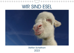 WIR SIND ESEL (Wandkalender 2023 DIN A4 quer) von Schellhorn,  Steffen