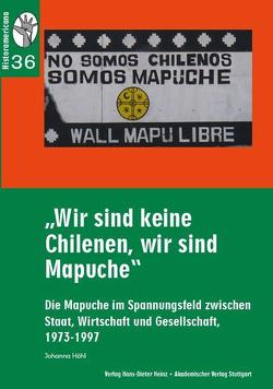 „Wir sind keine Chilenen, wir sind Mapuche“ von Höhl,  Johanna, König,  Hans-Joachim, Rinke,  Stefan