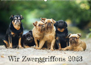 Wir Zwerggriffons 2023 (Wandkalender 2023 DIN A2 quer) von Witt - Schomber,  Angelika