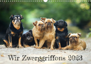 Wir Zwerggriffons 2023 (Wandkalender 2023 DIN A3 quer) von Witt - Schomber,  Angelika