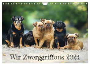 Wir Zwerggriffons 2024 (Wandkalender 2024 DIN A4 quer), CALVENDO Monatskalender von Witt - Schomber,  Angelika
