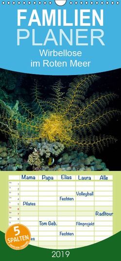 Wirbellose im Roten Meer – Familienplaner hoch (Wandkalender 2019 <strong>21 cm x 45 cm</strong> hoch) von Suttrop,  Christian