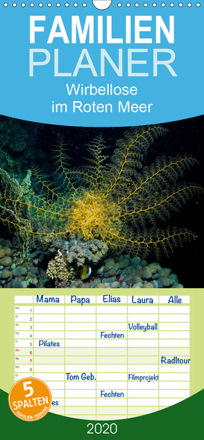 Wirbellose im Roten Meer – Familienplaner hoch (Wandkalender 2020 , 21 cm x 45 cm, hoch) von Suttrop,  Christian