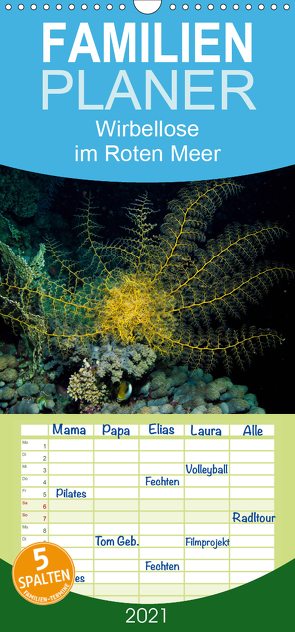 Wirbellose im Roten Meer – Familienplaner hoch (Wandkalender 2021 , 21 cm x 45 cm, hoch) von Suttrop,  Christian