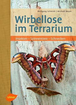 Wirbellose im Terrarium von Meyer,  Michael, Schmidt,  Wolfgang