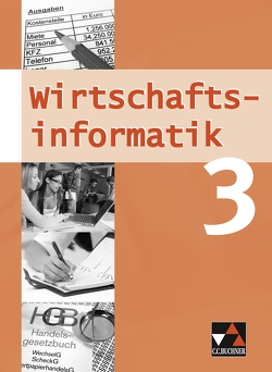 Wirtschaftsinformatik / Wirtschaftsinformatik 3 von Friedrich,  Manuel, Oltarjow-Mayerlen,  Barbara, Wombacher,  Ulrike