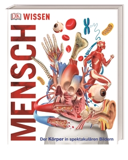 DK Wissen. Mensch