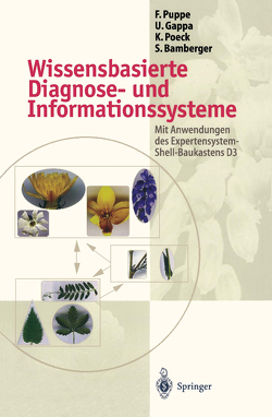Wissensbasierte Diagnose- und Informationssysteme von Bamberger,  Stefan, Gappa,  Ute, Poeck,  Karsten, Puppe,  Frank