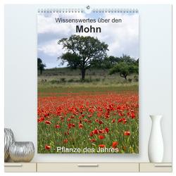 Wissenswertes über den Mohn – Pflanze des Jahres (hochwertiger Premium Wandkalender 2024 DIN A2 hoch), Kunstdruck in Hochglanz von Schmitt,  Georg