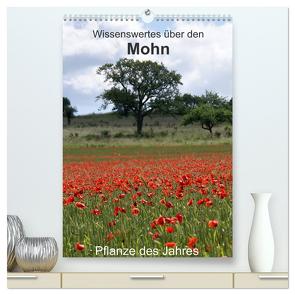 Wissenswertes über den Mohn – Pflanze des Jahres (hochwertiger Premium Wandkalender 2024 DIN A2 hoch), Kunstdruck in Hochglanz von Schmitt,  Georg