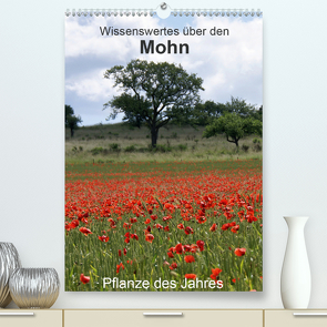 Wissenswertes über den Mohn – Pflanze des Jahres (Premium, hochwertiger DIN A2 Wandkalender 2021, Kunstdruck in Hochglanz) von Schmitt,  Georg