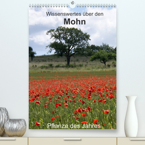 Wissenswertes über den Mohn – Pflanze des Jahres (Premium, hochwertiger DIN A2 Wandkalender 2022, Kunstdruck in Hochglanz) von Schmitt,  Georg