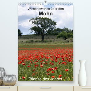 Wissenswertes über den Mohn – Pflanze des Jahres (Premium, hochwertiger DIN A2 Wandkalender 2023, Kunstdruck in Hochglanz) von Schmitt,  Georg