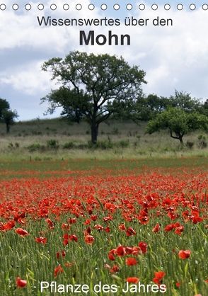 Wissenswertes über den Mohn – Pflanze des Jahres (Tischkalender 2018 DIN A5 hoch) von Schmitt,  Georg