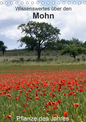 Wissenswertes über den Mohn – Pflanze des Jahres (Tischkalender 2020 DIN A5 hoch) von Schmitt,  Georg