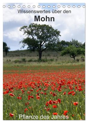 Wissenswertes über den Mohn – Pflanze des Jahres (Tischkalender 2024 DIN A5 hoch), CALVENDO Monatskalender von Schmitt,  Georg