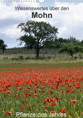 Wissenswertes über den Mohn – Pflanze des Jahres (Wandkalender 2020 DIN A3 hoch) von Schmitt,  Georg