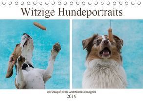 Witzige Hundeportraits – Riesenspaß beim Würstchen-Schnappen (Tischkalender 2019 DIN A5 quer) von Teßen,  Sonja