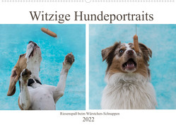 Witzige Hundeportraits – Riesenspaß beim Würstchen-Schnappen (Wandkalender 2022 DIN A2 quer) von Teßen,  Sonja