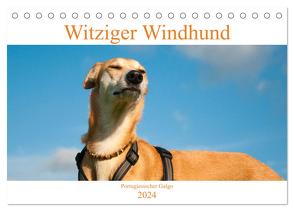 Witziger Windhund – Portugiesischer Galgo (Tischkalender 2024 DIN A5 quer), CALVENDO Monatskalender von Bölts,  Meike