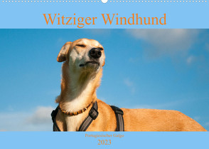 Witziger Windhund – Portugiesischer Galgo (Wandkalender 2023 DIN A2 quer) von Bölts,  Meike