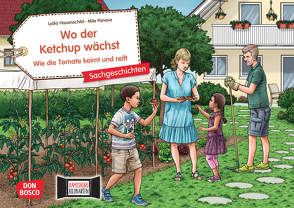 Wo der Ketchup wächst. Wie die Tomate keimt und reift. Kamishibai Bildkartenset von Hauenschild,  Lydia, Penava,  Mile